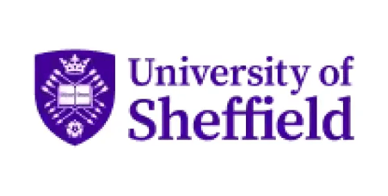 University of Sheffield